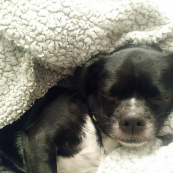 Meet your Posher, Joe - Picture 1 of 1